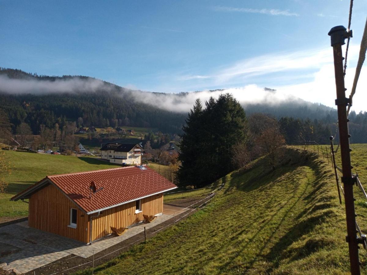 Schwarzenberg S'Heimatgfuehl别墅 外观 照片